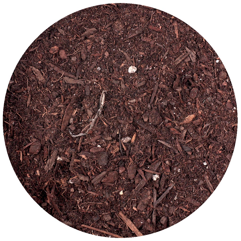 Potting Soil